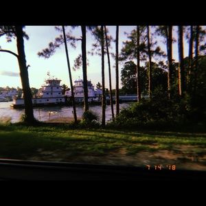 Meet your Posher, Angelina